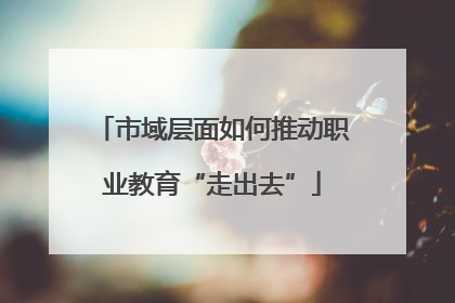 市域层面如何推动职业教育“走出去”
