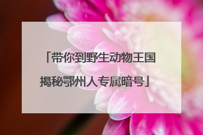 带你到野生动物王国揭秘鄂州人专属暗号