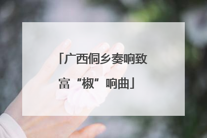 广西侗乡奏响致富“椒”响曲