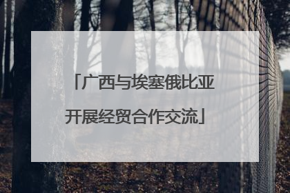 广西与埃塞俄比亚开展经贸合作交流