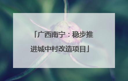 广西南宁：稳步推进城中村改造项目