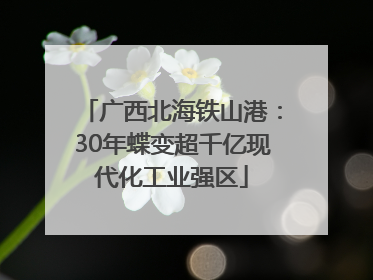 广西北海铁山港：30年蝶变超千亿现代化工业强区