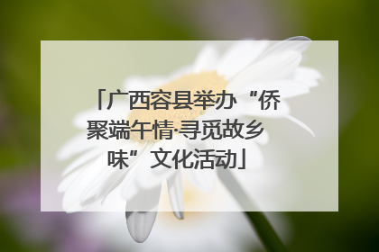 广西容县举办“侨聚端午情·寻觅故乡味”文化活动