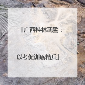 广西桂林武警：以考促训砺精兵