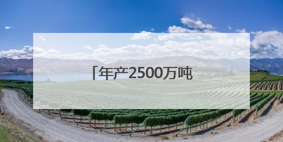 年产2500万吨铁矿石的新项目投产，宝武董事长：中澳资源合作的里程碑