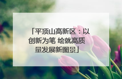 平顶山高新区：以创新为笔 绘就高质量发展新图景