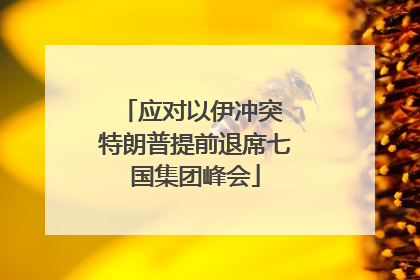 应对以伊冲突 特朗普提前退席七国集团峰会