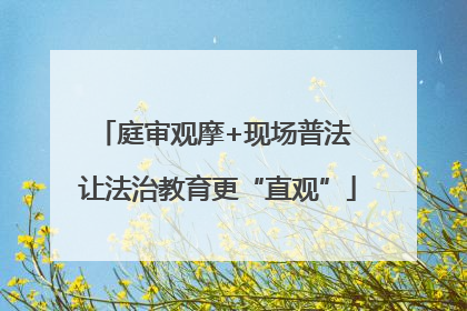 庭审观摩+现场普法 让法治教育更“直观”