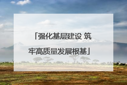 强化基层建设 筑牢高质量发展根基