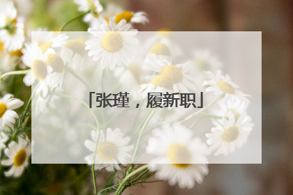 张瑾，履新职