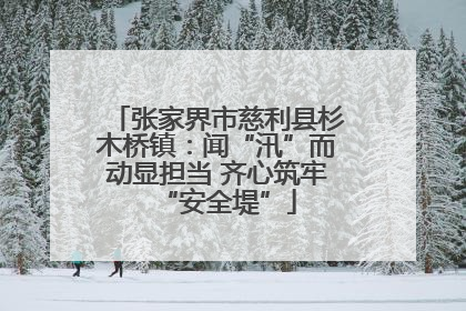 张家界市慈利县杉木桥镇：闻“汛”而动显担当 齐心筑牢“安全堤”