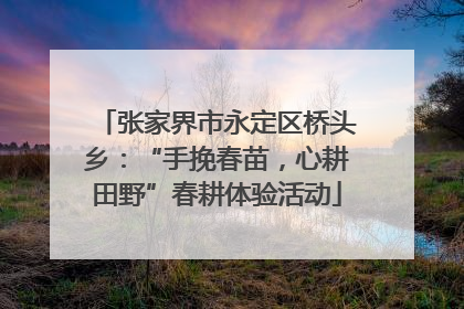 张家界市永定区桥头乡：“手挽春苗，心耕田野”春耕体验活动