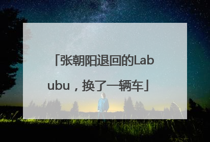 张朝阳退回的Labubu，换了一辆车