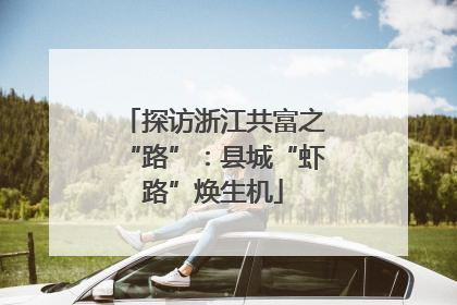 探访浙江共富之“路”：县城“虾路”焕生机