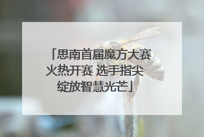 思南首届魔方大赛火热开赛 选手指尖绽放智慧光芒