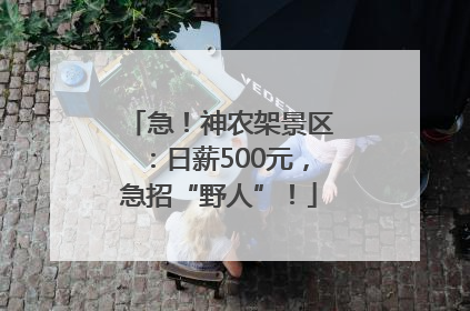 急！神农架景区：日薪500元，急招“野人”！