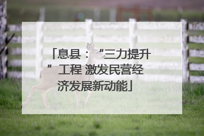 息县：“三力提升”工程 激发民营经济发展新动能