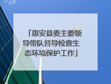 惠安县委主要领导带队督导检查生态环境保护工作