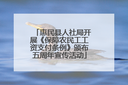惠民县人社局开展《保障农民工工资支付条例》颁布五周年宣传活动