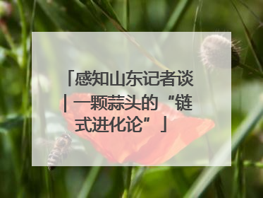 感知山东记者谈｜一颗蒜头的“链式进化论”