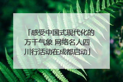 感受中国式现代化的万千气象 网络名人四川行活动在成都启动
