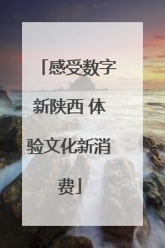感受数字新陕西 体验文化新消费