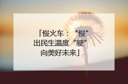 慢火车：“慢”出民生温度“驶”向美好未来