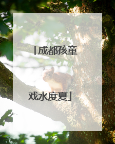 成都孩童戏水度夏