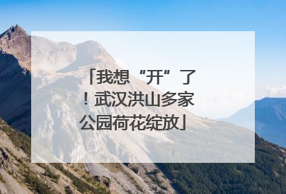 我想“开”了！武汉洪山多家公园荷花绽放