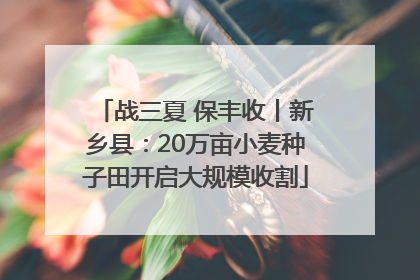 战三夏 保丰收丨新乡县：20万亩小麦种子田开启大规模收割