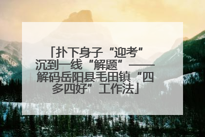 扑下身子“迎考” 沉到一线“解题”——解码岳阳县毛田镇“四多四好”工作法