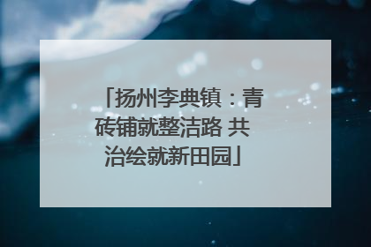 扬州李典镇：青砖铺就整洁路 共治绘就新田园