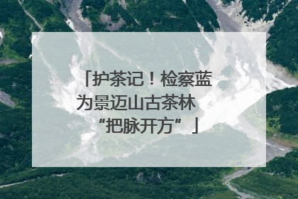 护茶记！检察蓝为景迈山古茶林 “把脉开方”