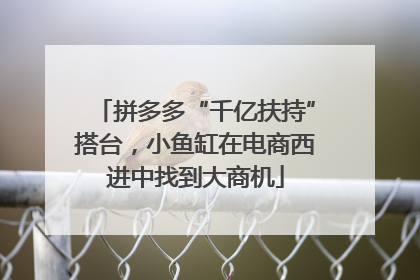 拼多多“千亿扶持”搭台，小鱼缸在电商西进中找到大商机
