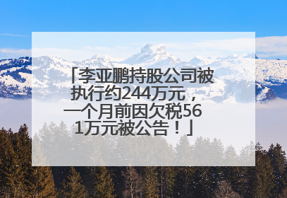 李亚鹏持股公司被执行约244万元，一个月前因欠税561万元被公告！