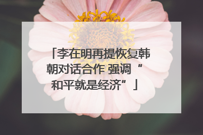 李在明再提恢复韩朝对话合作 强调“和平就是经济”