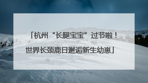 杭州“长腿宝宝”过节啦！世界长颈鹿日邂逅新生幼崽