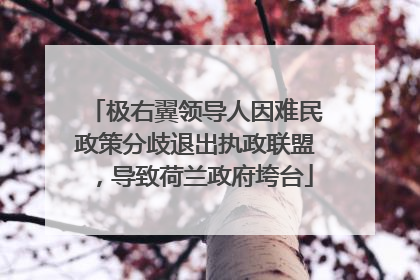 极右翼领导人因难民政策分歧退出执政联盟，导致荷兰政府垮台