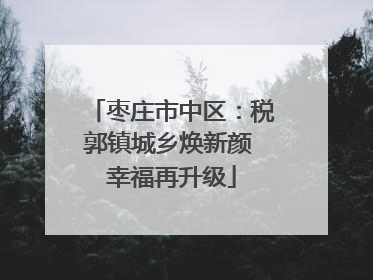 枣庄市中区：税郭镇城乡焕新颜 幸福再升级