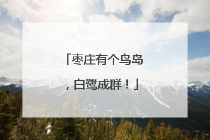 枣庄有个鸟岛，白鹭成群！