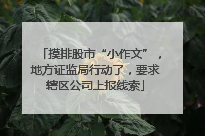 摸排股市“小作文”，地方证监局行动了，要求辖区公司上报线索