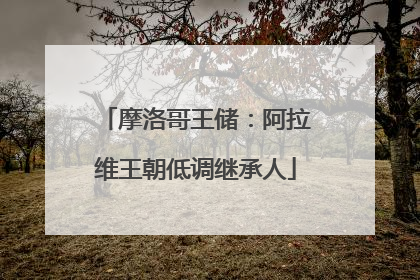 摩洛哥王储：阿拉维王朝低调继承人