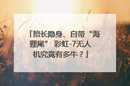擅长隐身、自带“海狸尾” 彩虹-7无人机究竟有多牛？