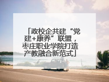 政校企共建“党建+康养”联盟，枣庄职业学院打造产教融合新范式