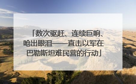 数次驱赶、连续巨响、呛出眼泪——直击以军在巴勒斯坦难民营的行动
