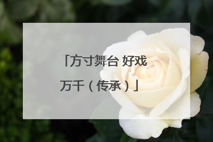 方寸舞台 好戏万千（传承）