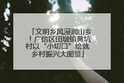 文明乡风浸润山乡！广信区田墩镇黄坑村以“小切口”绘就乡村振兴大图景