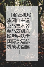 新疆机场集团自主运营乌鲁木齐至乌兹别克斯坦纳沃伊国际货运航线成功首航