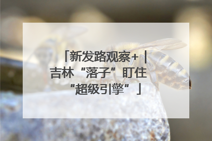 新发路观察+｜吉林“落子”盯住“超级引擎”