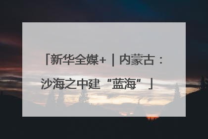 新华全媒+｜内蒙古：沙海之中建“蓝海”